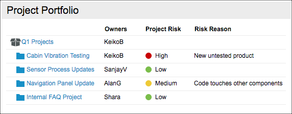 Project-Risk-custom-field.jpg